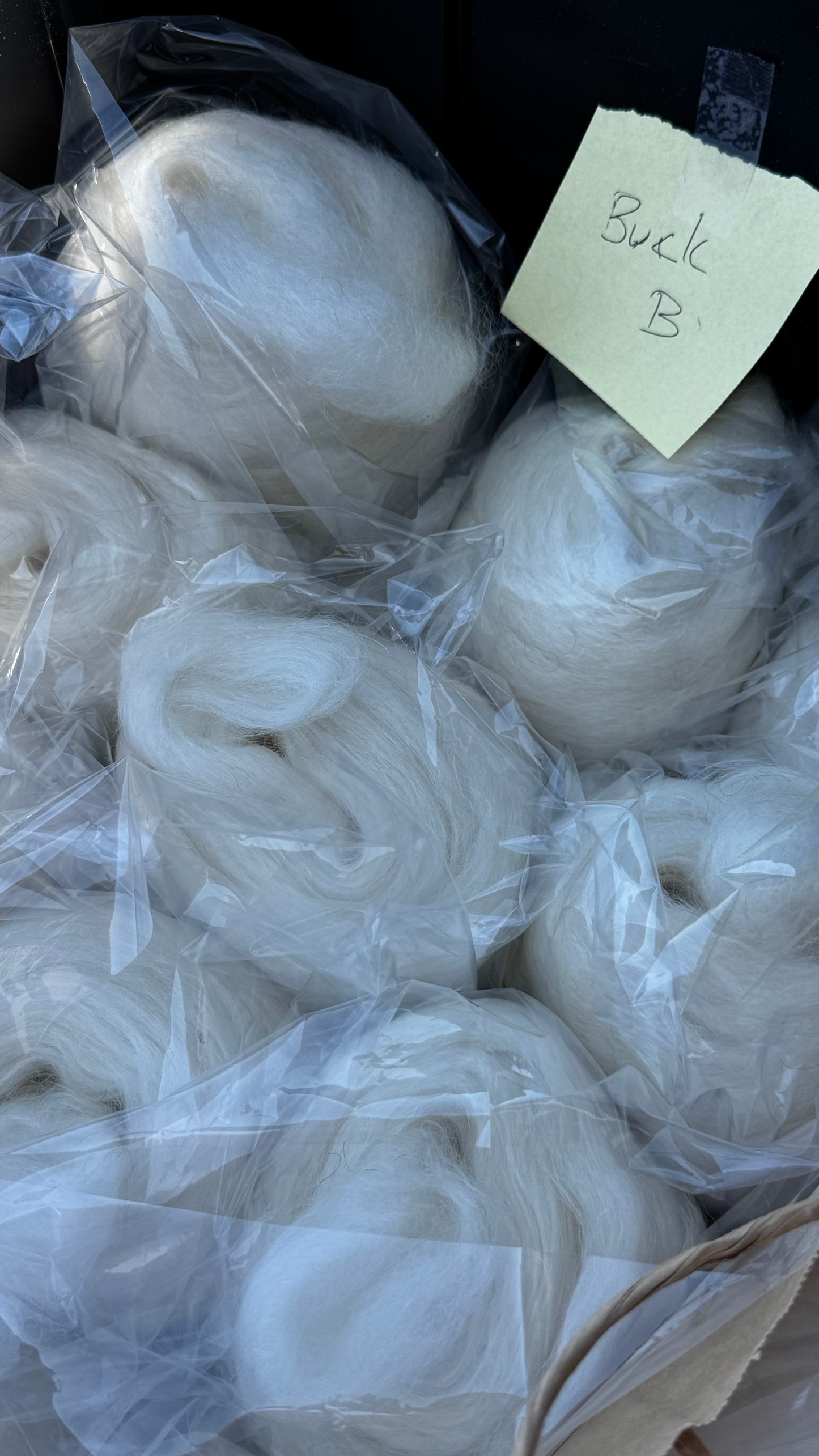Mohair Roving - Buck