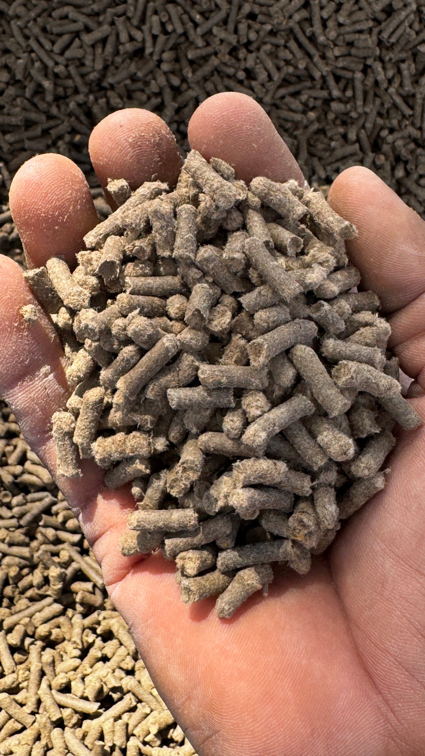 Wool Pellets - 5 Pounds